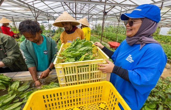 Gathering produce